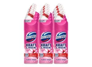 8720182432469 - WC-Gel Kraft & Frische Floral 750 ml 12er Pack 8720182432469 - WC-Gel Kraft & Frische Floral 750 ml 12er Pack