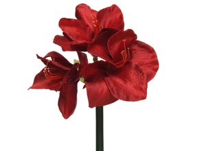 8720194584194 - Kunstblume AMARYLLIS ROT (DH 24x60 cm) DH 24x60 cm rot Pflanze Kunstpflanze Zimmerpflanze