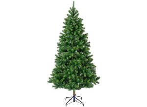 8720194650707 - Weihnachtsbaum Tanne h 210 x ø 120 cm