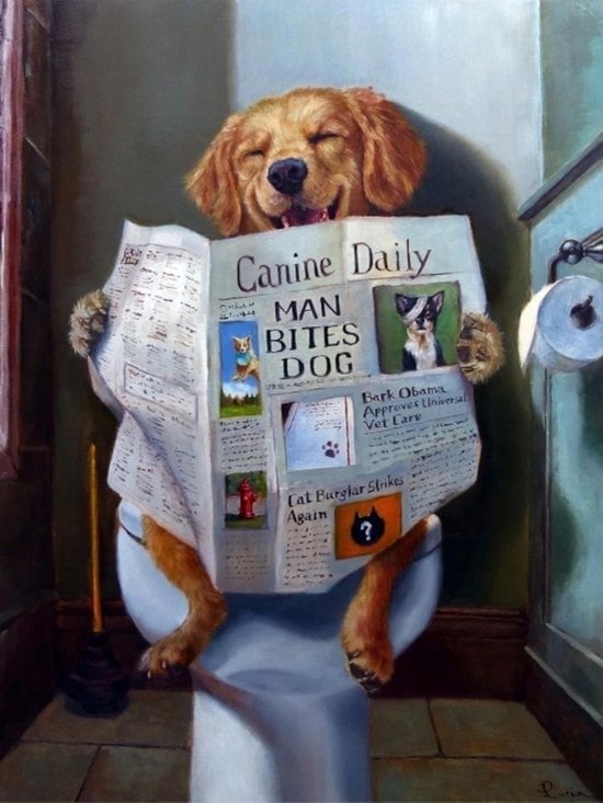 8720254311746 - Diamantmalerei Erwachsene - Diamantmalerei Kinder - Diamantmalerei Komplettpaket - Hund auf der Toilette - 30x40cm