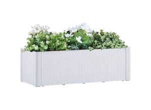 8720286193860 - Bonnevie - Garten-HochbeetBlumenkasten mit Selbstbewässerungssystem Weiß 100x43x33 cm vidaXL