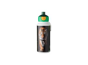 8720294038436 - Trinkflasche Campus 400 ml