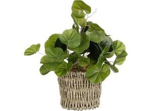 8720362053811 - - Mica Kunstpflanze Pilea im Korb grün 33 x 12 cm Kunstpflanzen