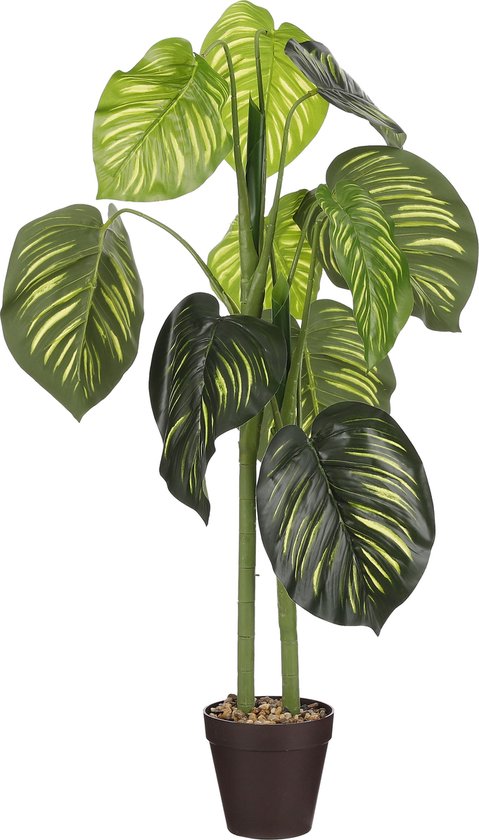 8720362207627 - Caladium Künstliche Pflanze im Blumentopf - H100 x Ø50 cm - Grün 8720362207627 - Caladium Künstliche Pflanze im Blumentopf - H100 x Ø50 cm - Grün