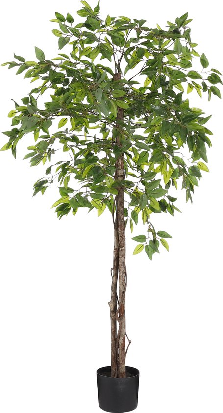 8720362207924 - Ficus Künstliche Pflanze im Blumentopf - H150 x Ø50 cm - Grün