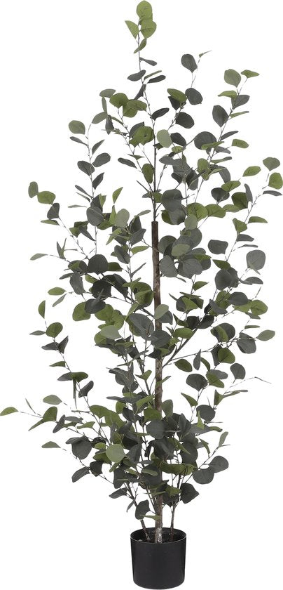 8720362207955 - Künstliche Eukalyptuspflanze im Blumentopf - H150 x Ø30 cm - Grün