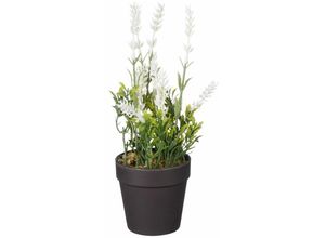 8720362272793 - - Mica künstlicher Lavendel im Topf weiß 24 x 10 cm Dekoblumen