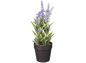 8720362272809 - - Mica künstlicher Lavendel im Topf violett 24 x 10 cm Dekoblumen