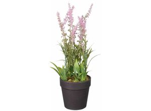 8720362272830 - - Mica künstlicher Lavendel im Topf rosa 24 x 10 cm Dekoblumen