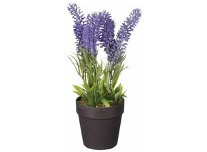 8720362272861 - Mica künstlicher Lavendel im Topf violett 24 x 10 cm Dekoblumen