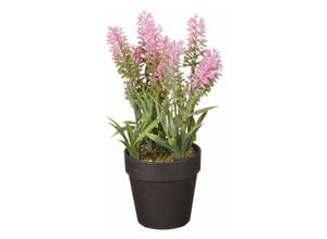 8720362272878 - - Mica künstlicher Lavendel im Topf rosa 24 x 10 cm Dekoblumen