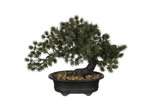 8720362273448 - - Mica Bonsai im Topf grün 28 x 15 x 23 cm