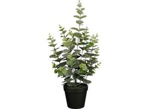 8720362931430 - - Mica Kunstpflanze Eukalyptus grün im Topf ø 23 x 53 cm Eingetopft