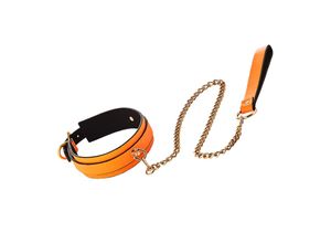 8720365102639 - Radiant - Collar and Leash