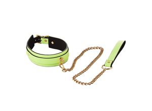 8720365102721 - Radiant - Collar and Leash