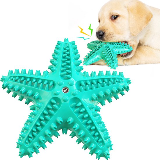 8720387846214 - Hundezahnbürste - Mit Quietsche - Hund - Spielzeug - Hund - Geeignet für Welpen - Spielzeug - Zahnpflege - Kuschelig - Intelligenz - Manueller Seestern 8720387846214 - Hundezahnbürste - Mit Quietsche - Hund - Spielzeug - Hund - Geeignet für Welpen - Spielzeug - Zahnpflege - Kuschelig - Intelligenz - Manueller Seestern