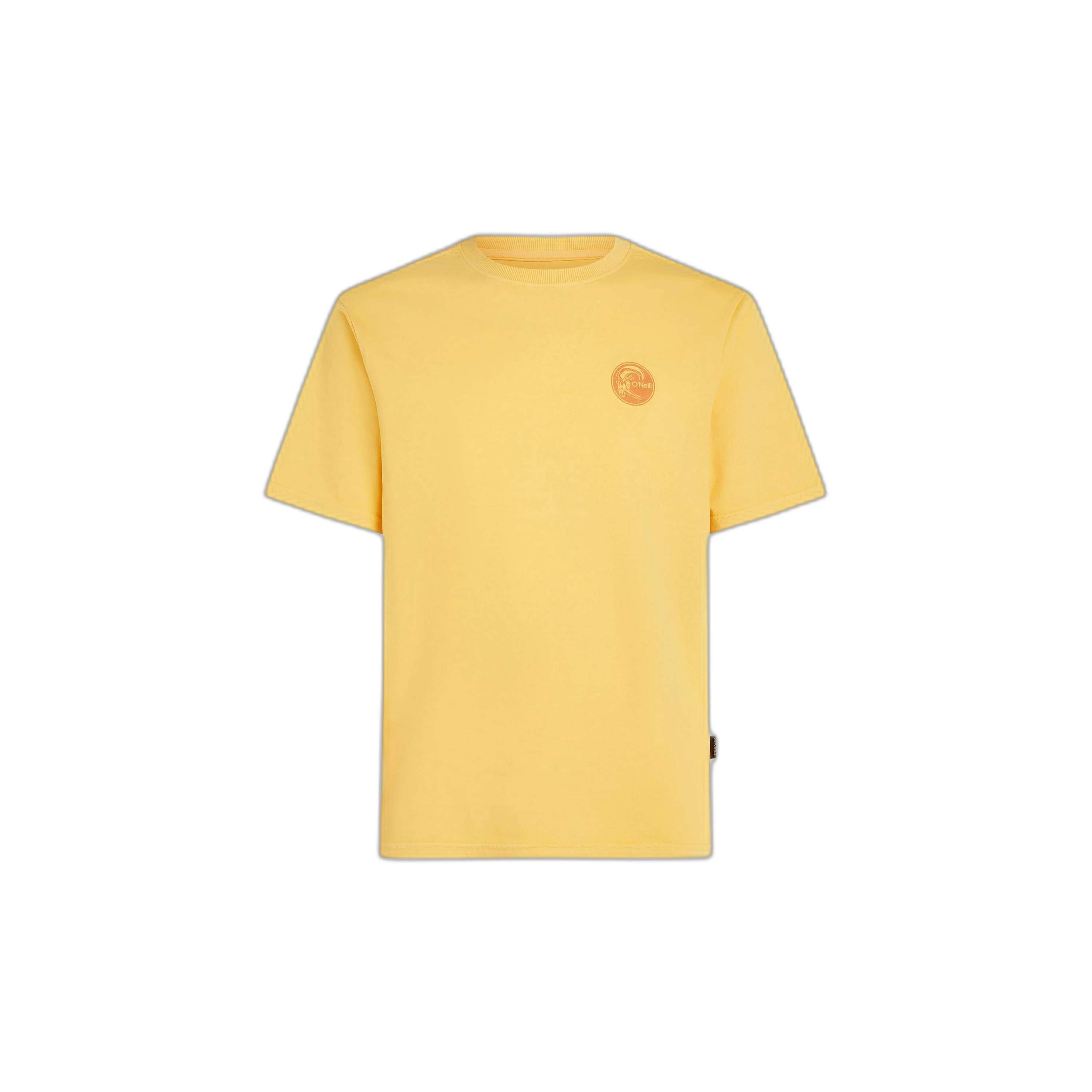 8720388642112 - T-Shirt ONeill Originals Vintage Graphic 8720388642112 - T-Shirt ONeill Originals Vintage Graphic