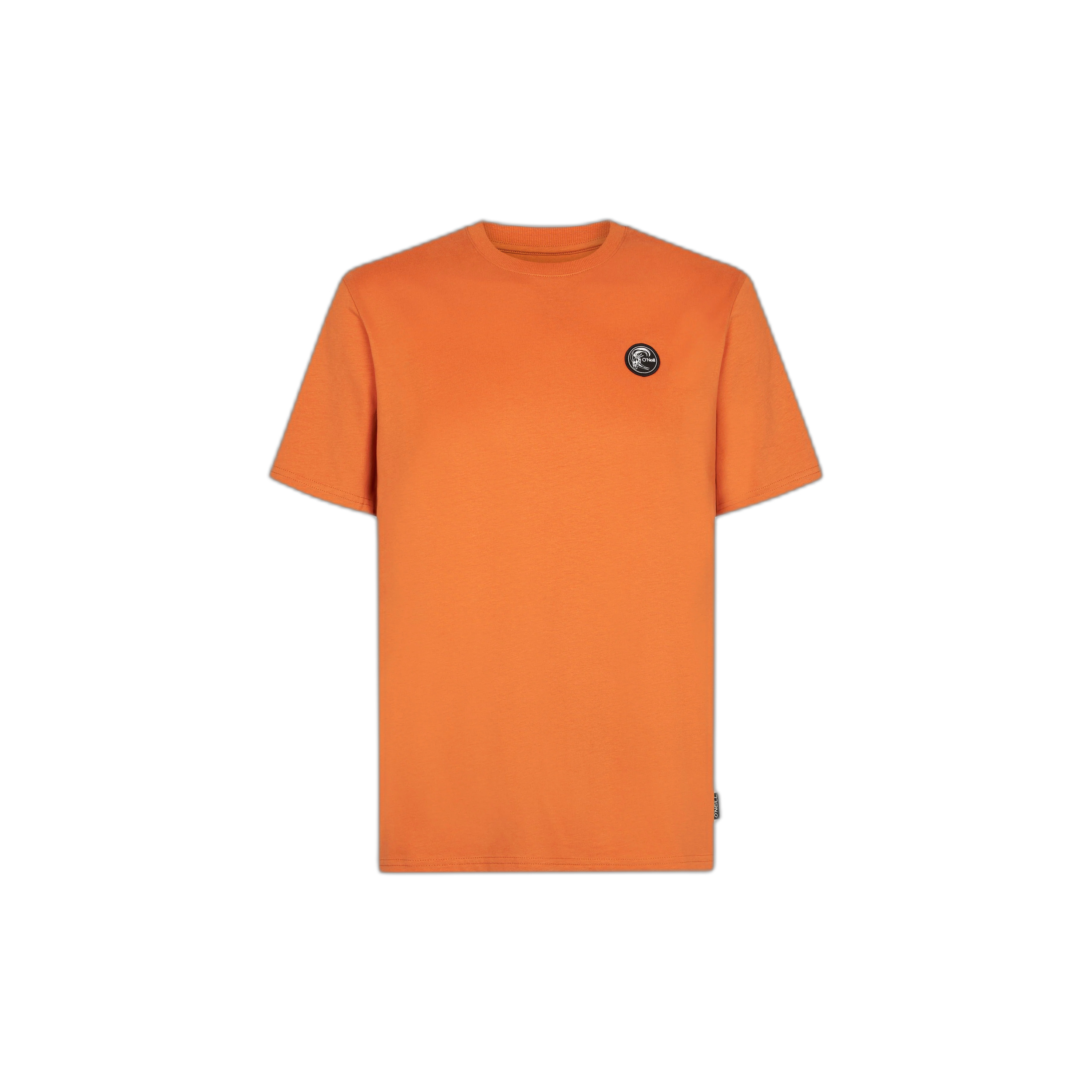 8720388642907 - T-Shirt ONeill Originals Badge