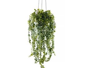 8720573124355 - Home Styling - Hängende Kunstpflanze senecio 60 cm