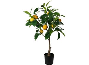 8720573532600 - Kunstpflanze ZITRONE (DH 33x73 cm) DH 33x73 cm bunt Pflanze Kunstblume Zimmerpflanze