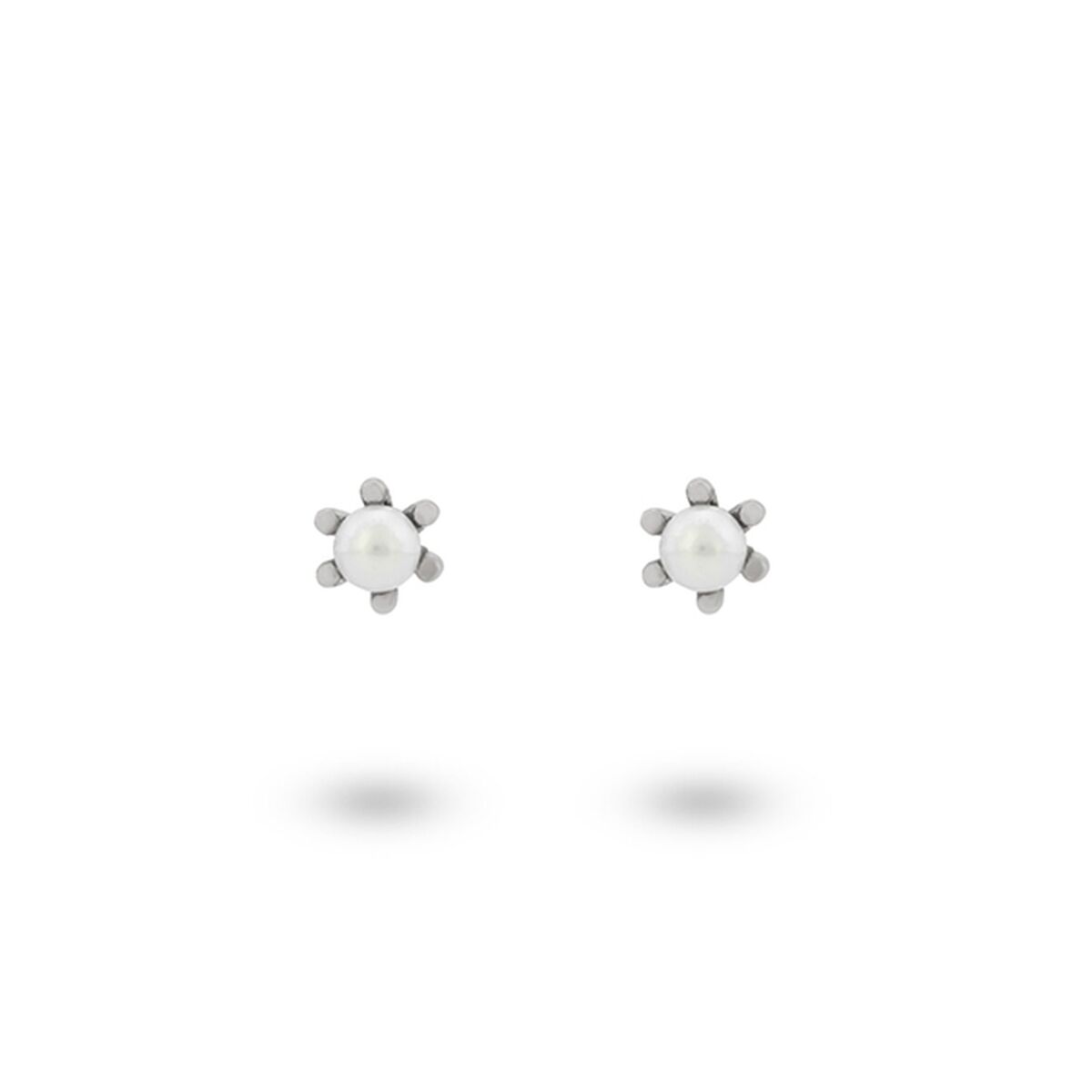 8720598224832 - Damenohrringe 42420S Silberfarben 8720598224832 - Damenohrringe 42420S Silberfarben