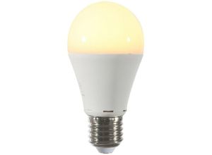 8720604301915 - Leds Light - Lampe Lichtbron - Opal - I14677S - Opaal