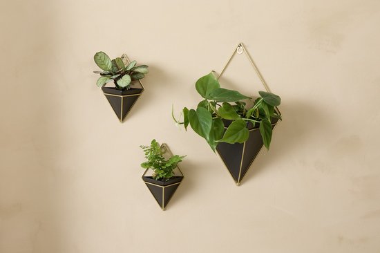 8720604886887 - Lifa Living hängende Pflanzgefäße Rosalie - Satz 3 - für innen - Schwarz 8720604886887 - Lifa Living hängende Pflanzgefäße Rosalie - Satz 3 - für innen - Schwarz