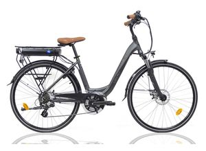 8720618724793 - Denver E600 City E-bike Damen mit Mittelmotor 7 Gang grau