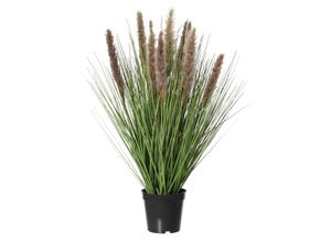 8720725125568 - Kunstpflanze im Topf 30x30x68cm 8720725125568 Decoris