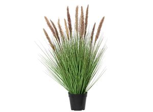 8720725135567 - Kunstpflanze im Topf 45x45x80cm 8720725135567 Decoris