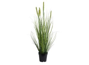 8720725765870 - Kunstpflanze PANICUM (H 80 cm) H 80 cm bunt Pflanze Kunstblume Zimmerpflanze