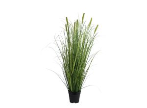 8720725785892 - Kunstpflanze PANICUM (H 105 cm) H 105 cm bunt Pflanze Kunstblume Zimmerpflanze