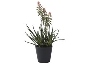 8720725805996 - Kunstpflanze Aloe VERA (LBH 50x1250x14 cm) LBH 50x1250x14 cm grün Pflanze Kunstblume Zimmerpflanze