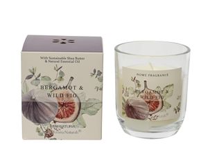 8720725832299 - Kerze NATURE