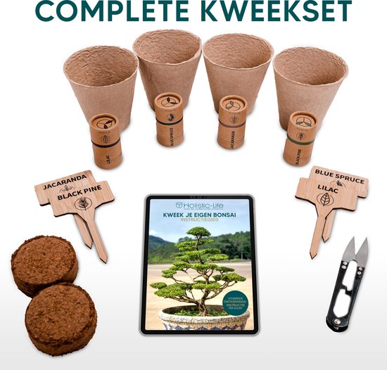 8720726443289 - Bonsai Starter Kit mit umfassender Anleitung - Bonsai Seed Kit - Indoor Tree Growing - Indoor Plants - Grow Kit Gift - Geschenkset