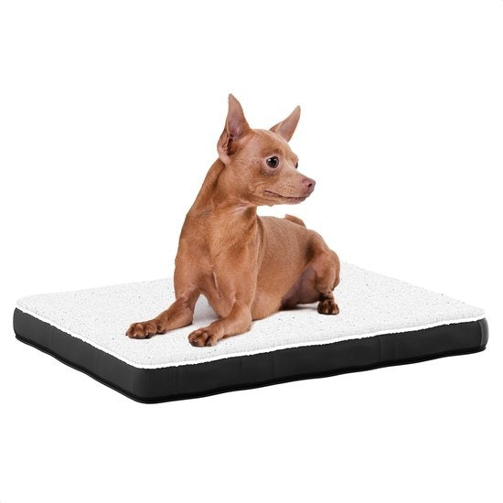 8720828295434 - Orthopädisches Hundekissen S - 45x65 cm - Waschbar   Memory Foam   Anti-Rutsch - Orthopädischer Hundekorb