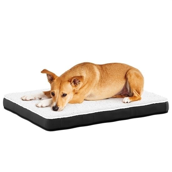 8720828295458 - Orthopädisches Hundekissen L - 91x69 cm - Waschbar   Memory Foam   Anti-Rutsch - Orthopädischer Hundekorb