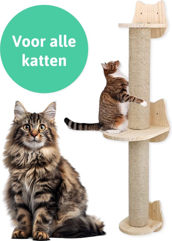 8720929622184 - Katzenkletterwand - Kratzbaum - 2 Plattformen - Katzenkletterwand - Wand - Katzenkletterwand - Für große Katzen - Kletterwand - Komplettset