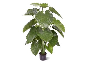 8720956698459 - Kunstpflanze Greens Alocasia 75x100x115 cm