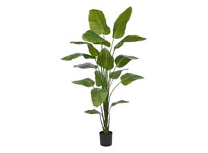 8720956698480 - Kunstpflanze Greens Strelitzia XL 100 cm Höhe 210 cm