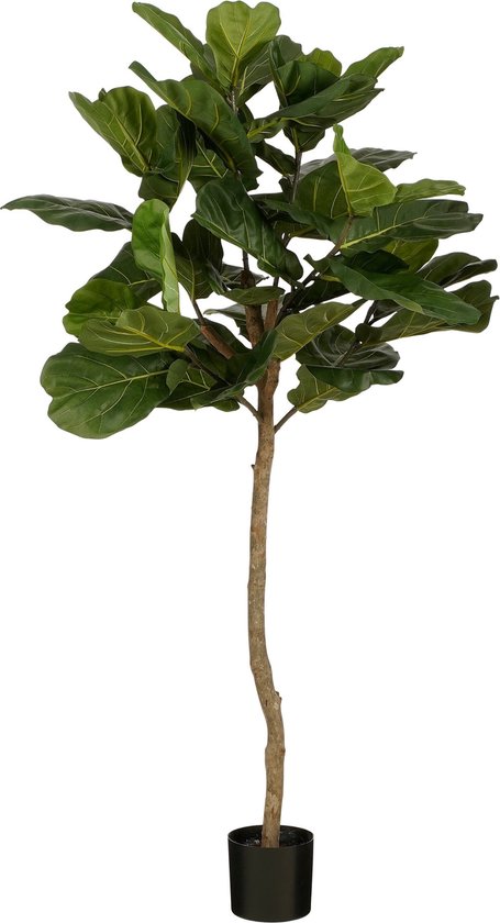 8720967797141 - Ficus Lyrata Künstliche Pflanze - H165 x Ø95 - Grün