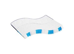 8721012203570 - Bonnevie - Matratze Taschenfederkern Mittelfest 160x200 cm vidaXL866009 8721012203570 - Bonnevie - Matratze Taschenfederkern Mittelfest 160x200 cm vidaXL866009