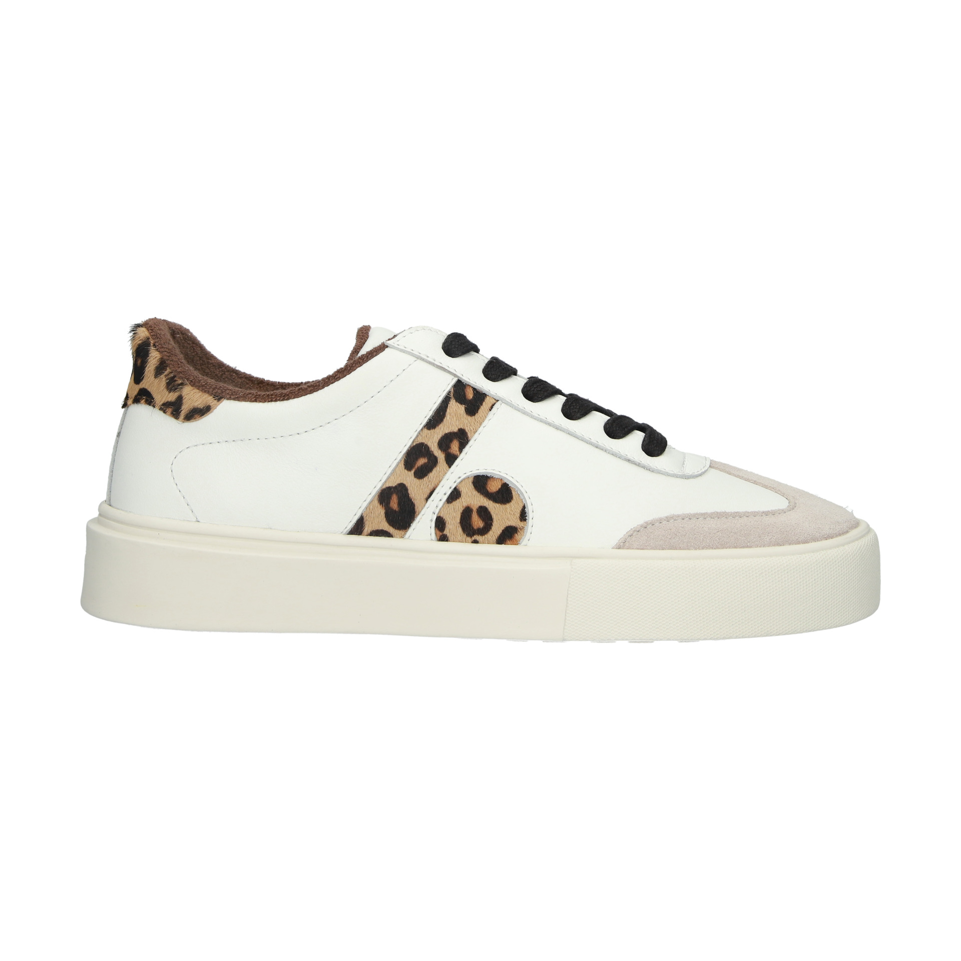 8721239032816 - Sneakers Quartz Auden