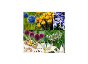 8721278902170 - Plant in a Box - Wild Bee Hotel Box - 60 Blumenzwiebeln - Mit Anleitung zum Bau Bienenhotels 8721278902170 - Plant in a Box - Wild Bee Hotel Box - 60 Blumenzwiebeln - Mit Anleitung zum Bau Bienenhotels