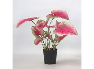 8721278902361 - Plant in a Box - Künstliche Caladium – Höhe 60cm
