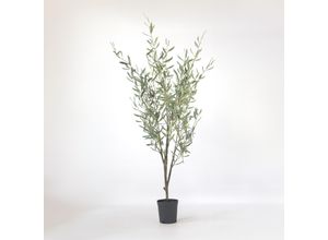 8721278902415 - Plant in a Box - Künstlicher Olivenbaum – Höhe 150cm
