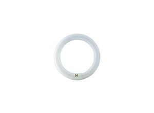 8727900840537 - Master tl-e Circular 22W Sockel G10Q 6500K dimmbar - Philips