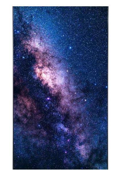 8806091780287 - LG 55EF5K-P Digital Signage Flexible Curved Open Frame OLED Display 140 cm 55 Zoll