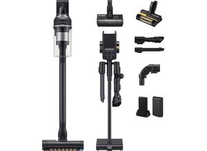 8806095053110 - Akku-Handstaubsauger Jet 95 Akku+ PetPRO VS20C95D2TK WD 580 W beutell