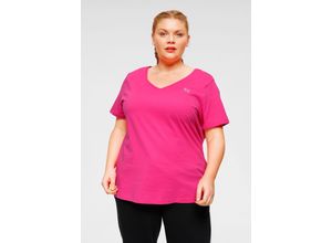 8941101193814 - Große Größen 3er Pack T-Shirts schwarz-pink Gr56 58